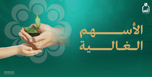 الأسهم الغالية